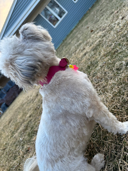 Handmade Leather Squiggle Dog Collar | Colorful Wavy Designer Dog Collar
