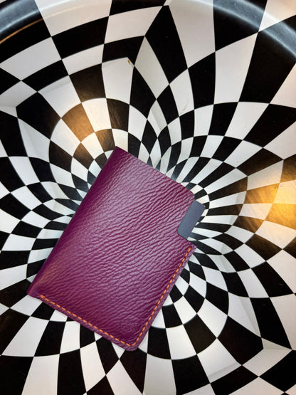 travel leather passport case