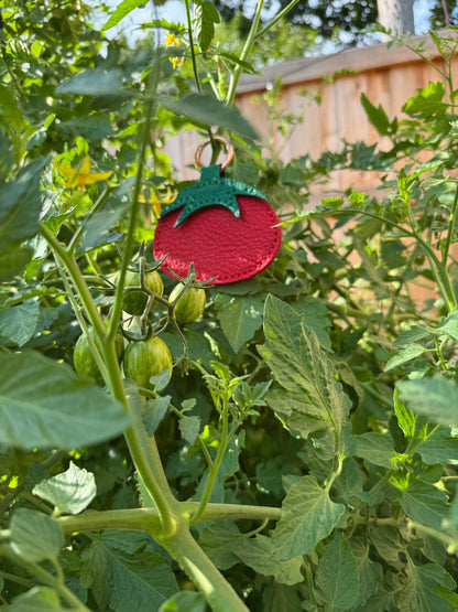 Tomato Leather Card Holder | Handmade Leather Coin & Card Pouch