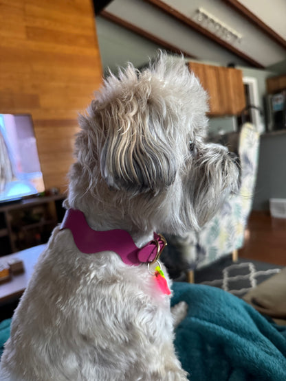 Handmade Leather Squiggle Dog Collar | Colorful Wavy Designer Dog Collar