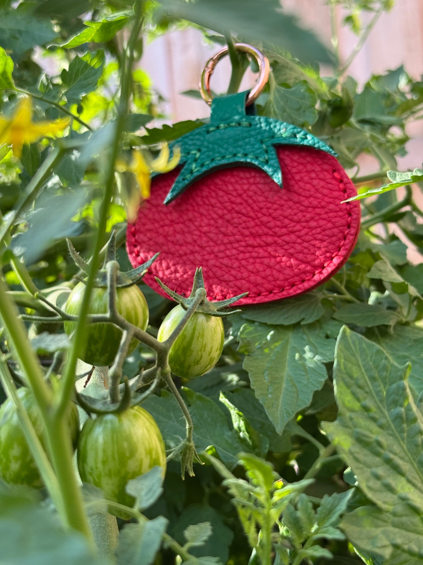 Tomato Leather Card Holder | Handmade Leather Coin & Card Pouch
