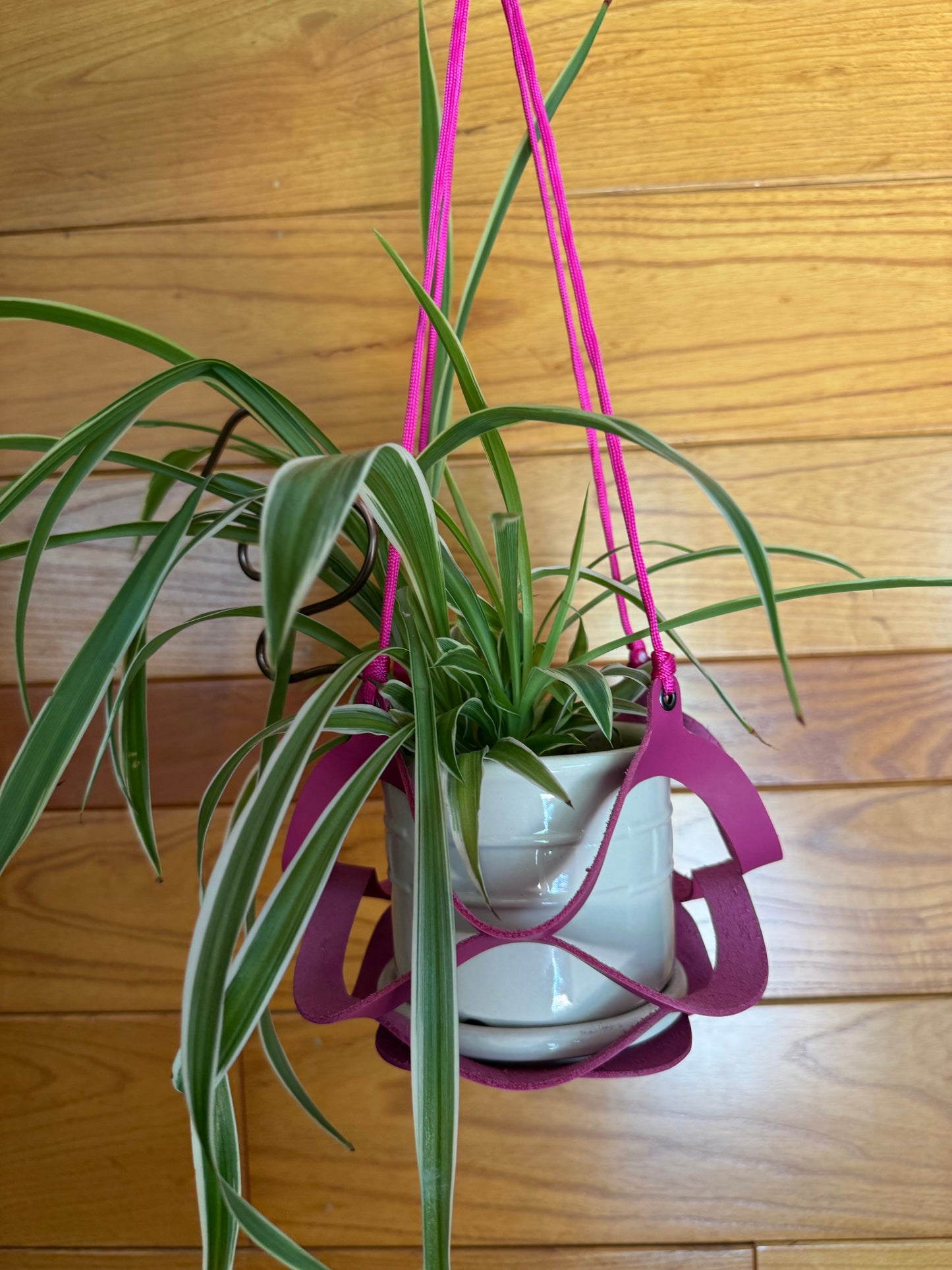 Handmade Leather Plant Hanger | Modern Hanging Planter Holder